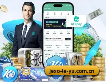 乐鱼入口 APP 深度功能